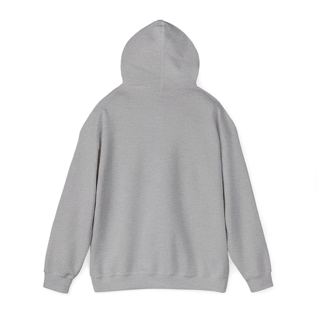soft landing hard life hoodie | Gen-Z slang hoodie, internet lingo